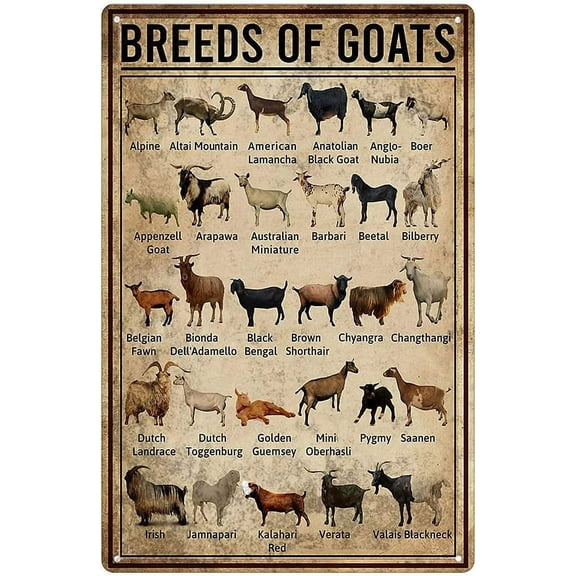Breeds of Goat Animal Farming Knowledge Metal Sign Vintage Wall Decor Farm Goat Sign Poster Wall Plaque Farmhouse Classroom Office Bar Home Decor Size: 8 x 12 inch