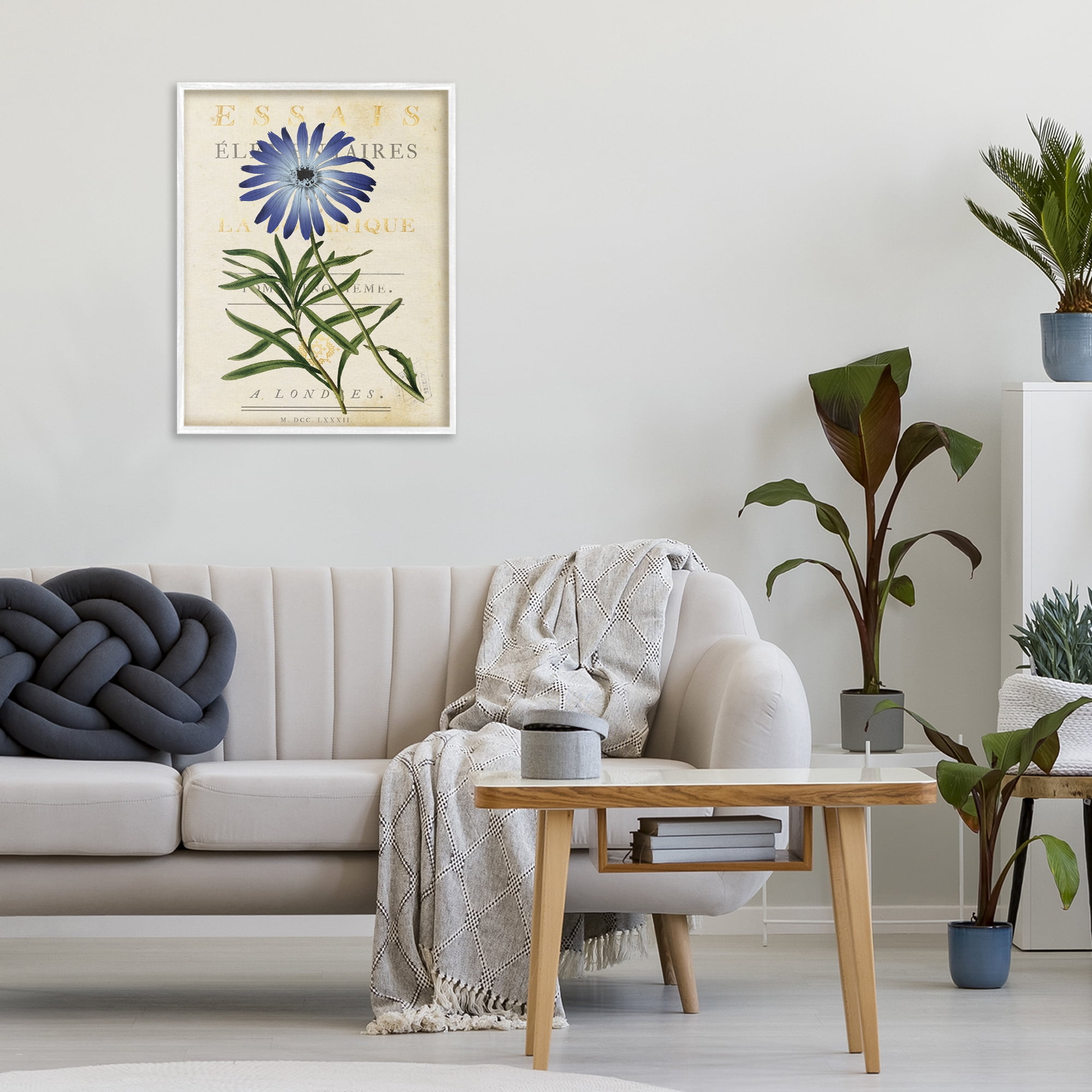 Stupell Industries Natural Botany Daisy White Framed Giclee Art, design by Susan Arnot
