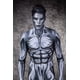 thumbnail image 4 of Disfraz de surfista plateado para Halloween, traje Zentai, traje de superhéroe, monos para adultos y niños, 4 of 5