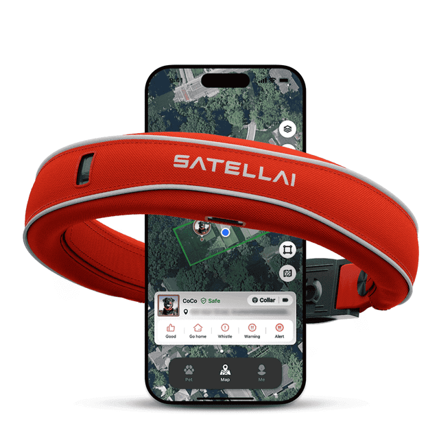 SATELLAI Collier pour Chien Sans Fil avec GPS - Analyse AI, Positionnement Précis, Batterie 5 Jours, Étanche IP68, Rouge