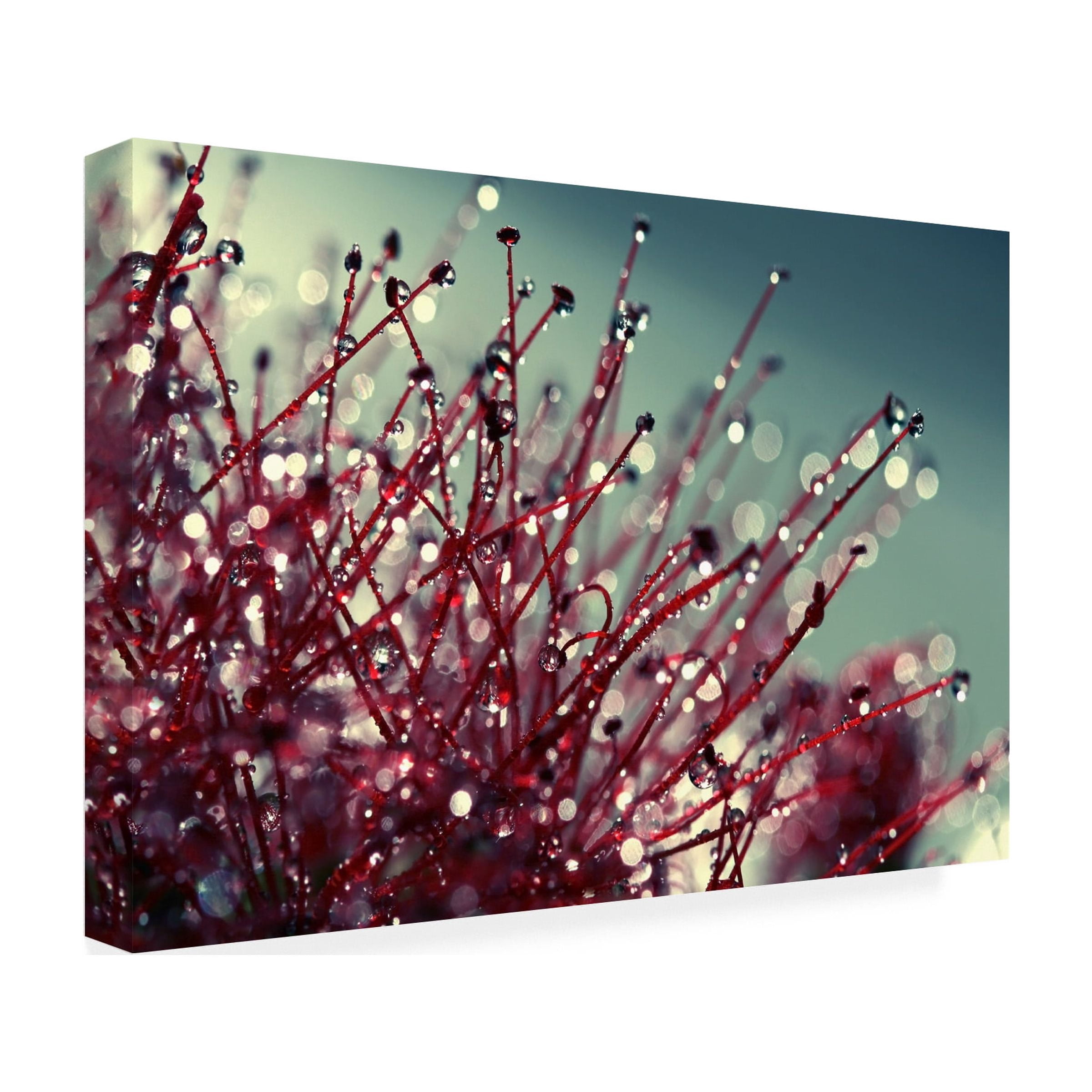 Trademark Fine Art Young 'For you and me' Canvas Art by Beata Czyzowska