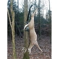 thumbnail image 3 of Kojem Tree Mount Hoist Deer Hoist for Hunting Game Winch Lift 400LB 23FT, 3 of 11