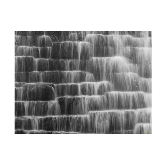 Canvas Wall Art - Life BeautifuLEE 'Water Steps' Wall Art for Living Room, Bedroom, or Office Décor by Trademark Fine Art - 19 x 14 Inches