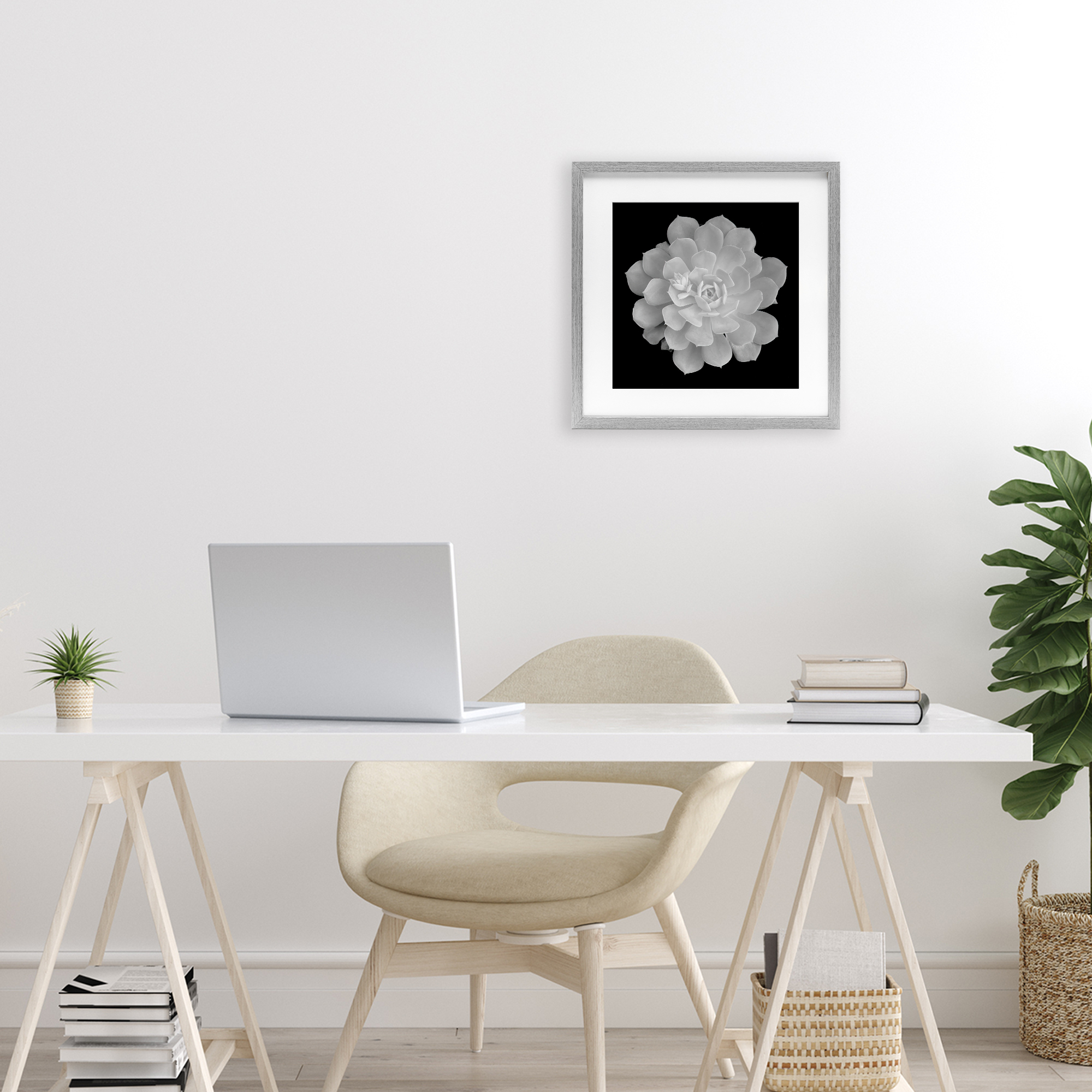Pure White Succulent Contrast Gray Framed Print Under Glass, design by Phillip Flowers