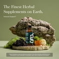 thumbnail image 3 of Gaia Herbs Cough Syrup - Helps Soothe an Occasional Dry Cough* - With Honey, Pelargonium, Ivy Leaf, Black Elderberry & More - 4 Fl Oz (24 Servings), 3 of 9