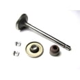 thumbnail image 1 of Briggs & Stratton Intake Valve, 1 of 1