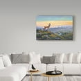 thumbnail image 3 of Trademark Fine Art 'The Lookout' Canvas Art by Allen Jimmerson, 3 of 3