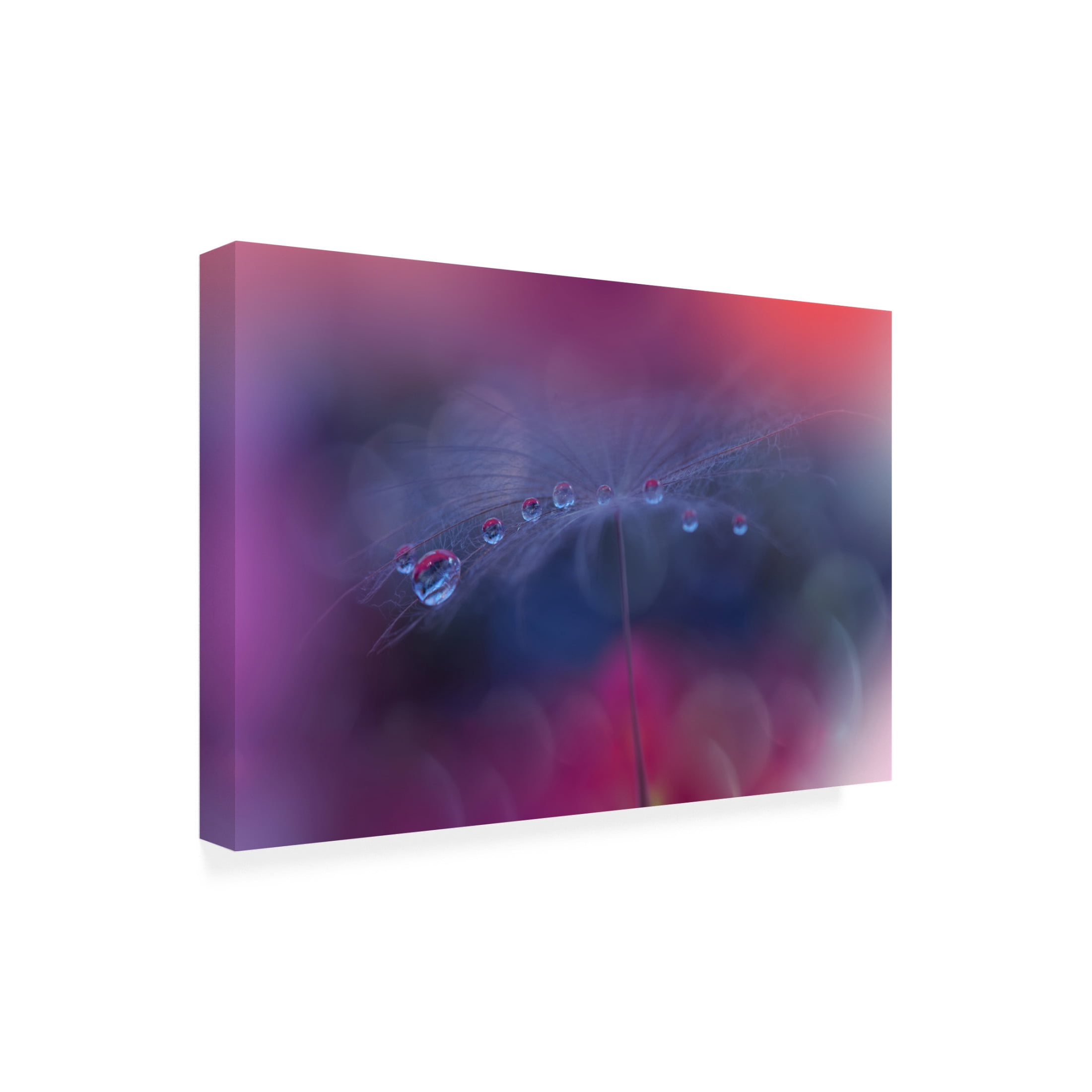Trademark Fine Art Juliana Nan The Tears of Heaven III Canvas Wall Art