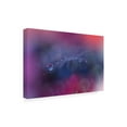thumbnail image 3 of Trademark Fine Art Juliana Nan The Tears of Heaven III Canvas Wall Art, 3 of 4