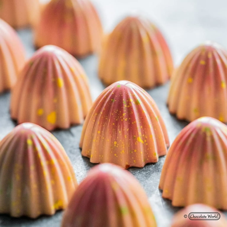 チョコレートワールド カカオバリー CHOCOLATE WORLD モールド Amazon.com: Chocolate World 1918 Sakura Origami Polycarbonate