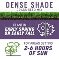 thumbnail image 3 of Pennington Smart Seed Dense Shade Grass Seed Mix, for Partial to Full Shade, 7.0 lb. New Bag, 3 of 19