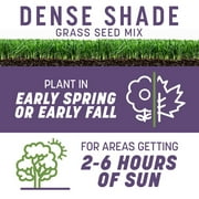 Pennington Smart Seed Dense Shade Grass Seed Mix. 3 lb.