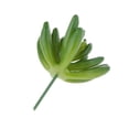 thumbnail image 3 of Adorno Hogar Artificial Baoblaze Pntas Flores de Folje Verde, 3 of 5