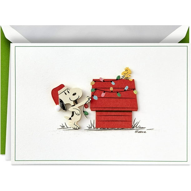 Hallmark Cartes de Noël en Boîte de Cacahuètes de Signature Lumières de Noël Fouineuses (10 Cartes avec des Enveloppes)