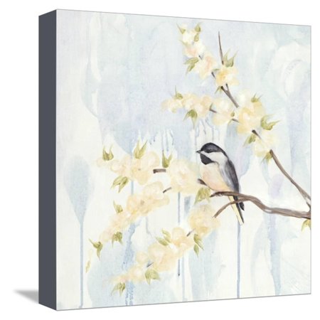 Spring Chickadees I Stretched Canvas Print Wall Art By Jade Reynolds