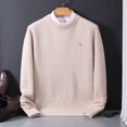 thumbnail image 1 of Suéter de lana para hombre, ropa de otoño e invierno, suéter de cachemira de visón, jersey de punto de grano de arroz de color sólido, talla grande, holgado, informal, 1 of 5