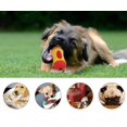 thumbnail image 3 of Dog Toys, Puppy Teething Toys, Interactive Dog Toys for Small Large Dogs Breed, 3 of 4