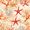 Orange Starfish, variant on Yayeee 6 PCS Drink Coasters with Holder Set Woven Absorbent Round Tabletop Hot Pad, Retro Starfish