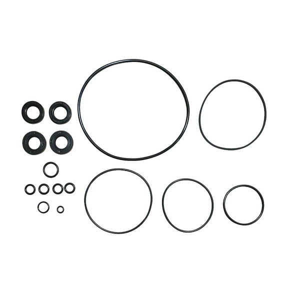 Plessey Power Steering Pump Seal Kit Fits Ford Tractor 347129 374538S 377363S 379275S94 379442S 3925002 49861 501091 81827227 81827228 81827233 83910651 83911588 83925002 86482S95 87031S94 87035S95