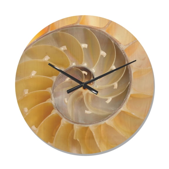 Designart 'Isolated Nautilus Sea Shell' Modern Wood Wall Clock