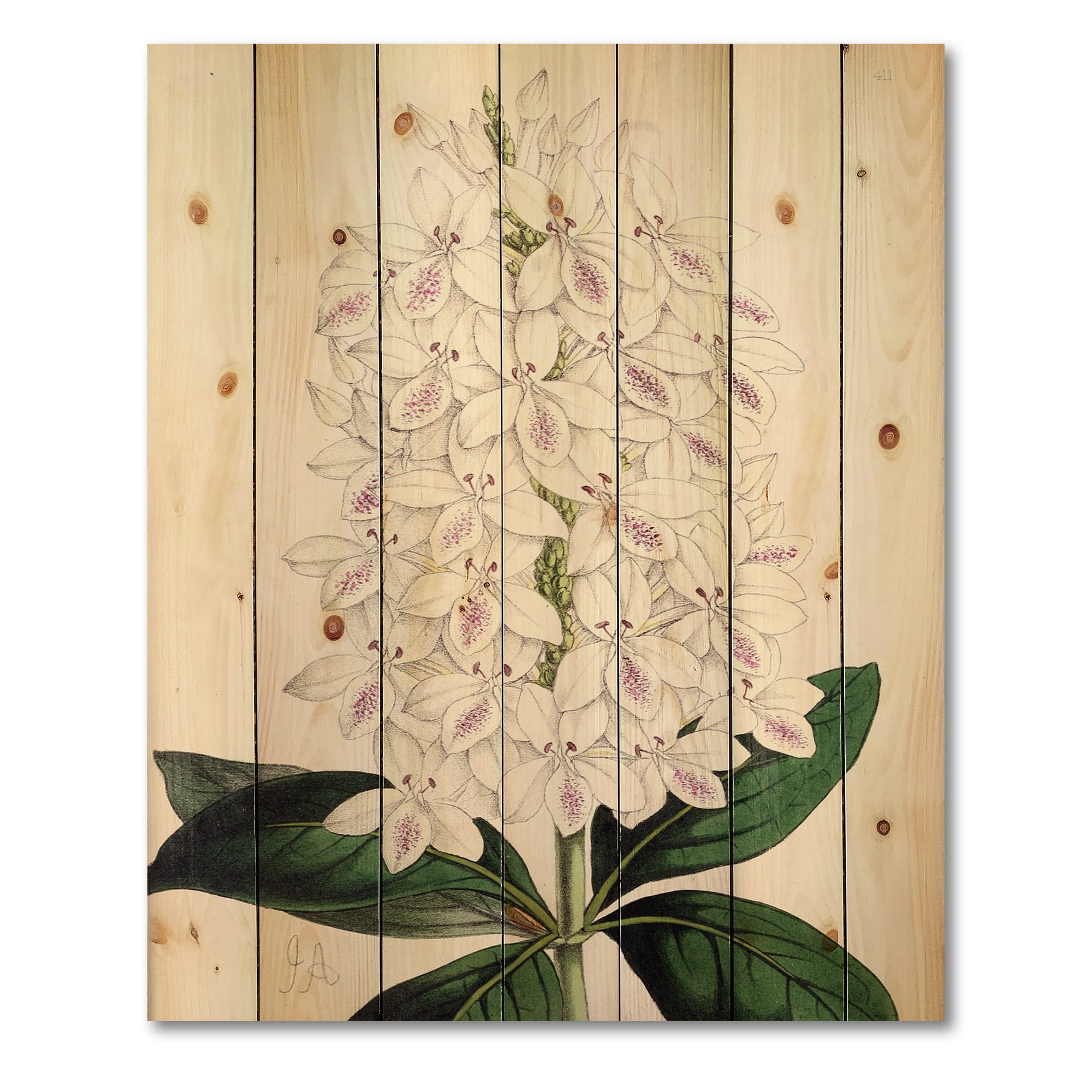 Designart 'Ancient White Orchid III' Traditional Print on Natural Pine Wood