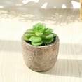 thumbnail image 6 of Upgraded Mini Fake Succulent Plants - 1 Set Potted Artificial Succulents for Home Office Desk Decor | Assorted Small Faux Desktop Plants, 6 of 8
