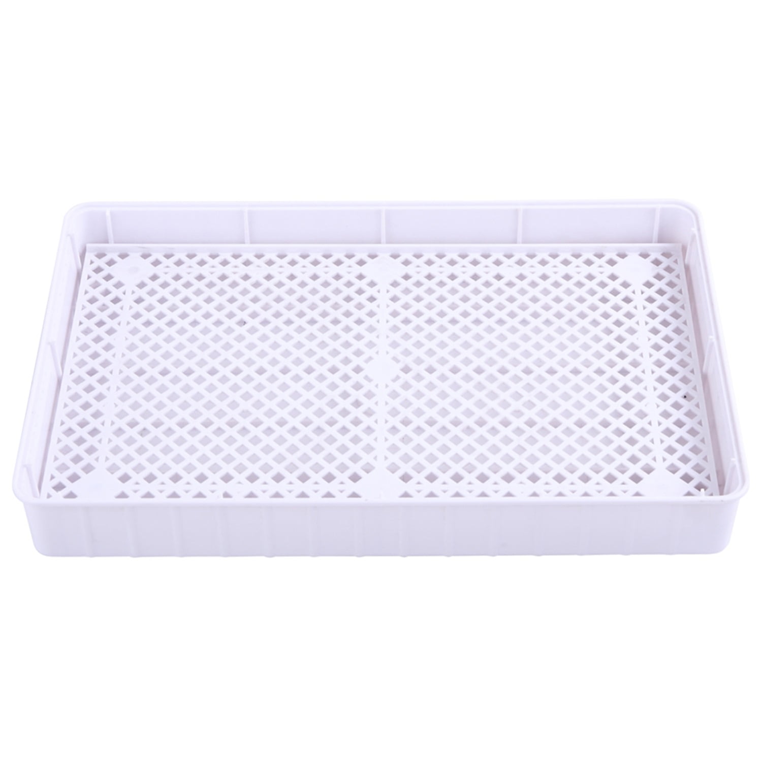 Pefilos12-Egg Adjustable Incubator for Chicken Egg Tray Practical Fully Automatic Poultry Incubator for Reptile Eggs Incubator for Hatching Chicks Thermometer Set US Plug, Gray Pefilos12-Egg Adjustable Incubator for Chicken Egg Tray Practical Fully Automatic Poultry Incubator for Reptile Eggs Incubator for Hatching Chicks Thermometer Set US Plug, Gray