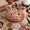 Animal Pumpkin0805-5_A1, variant on DIY Animal Pumpkin Sewing Kit, Farmhouse Fall Woodland Fabric Pumpkin Craft Set, Halloween & Thanksgiving Seasonal DIY Home Decor Owl