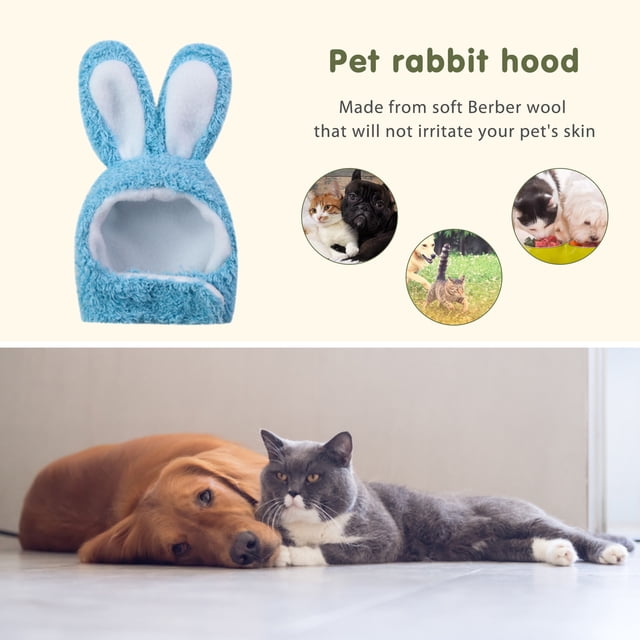 Gorro con orejas de conejo para gatos, gorro de dibujos animados para perros y gatos, gorros para vestir mascotas, suministros (azul)