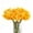 Yellow, variant on Zukuco 12 PCS Artificial Daffodils Flowers, Yellow White Silk Faux Flower, Spring Summer Fake Flower Arrangement for Home Party Wedding Decorations