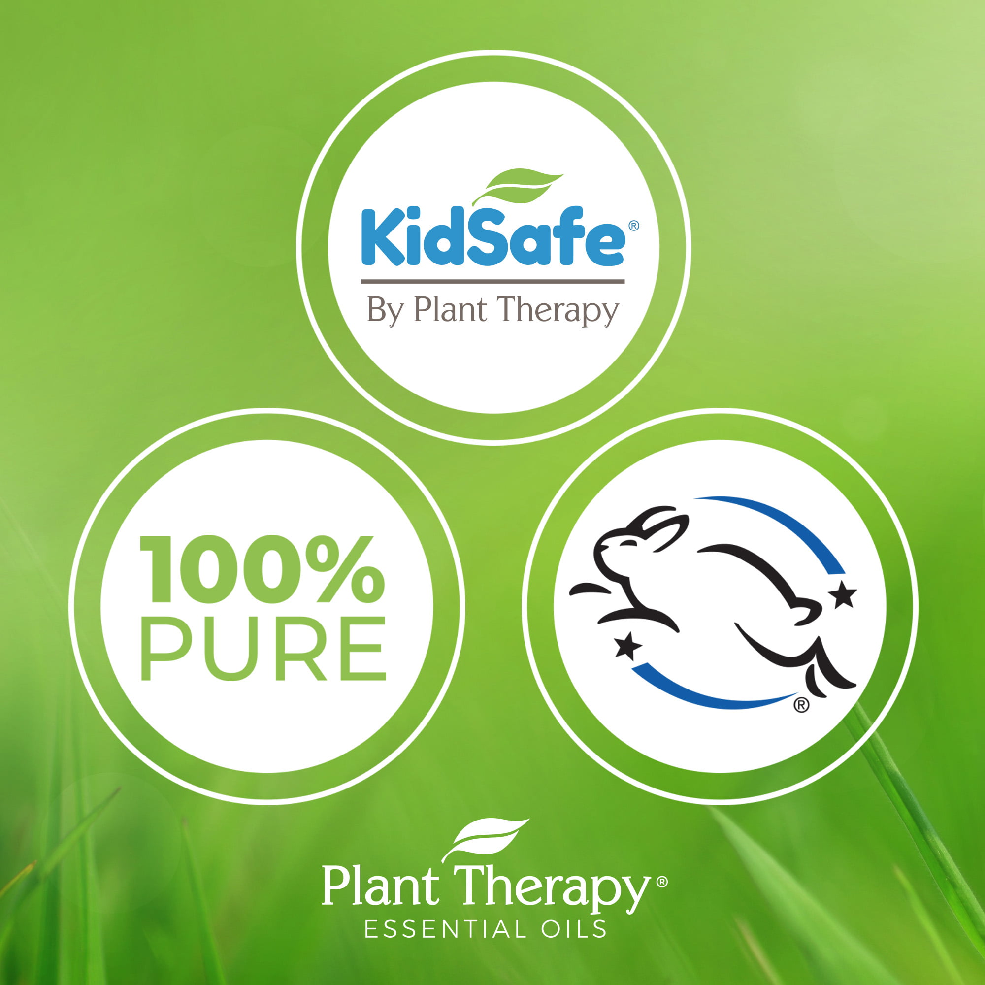 Safe Essential Oils For Kids – Plant Therapy