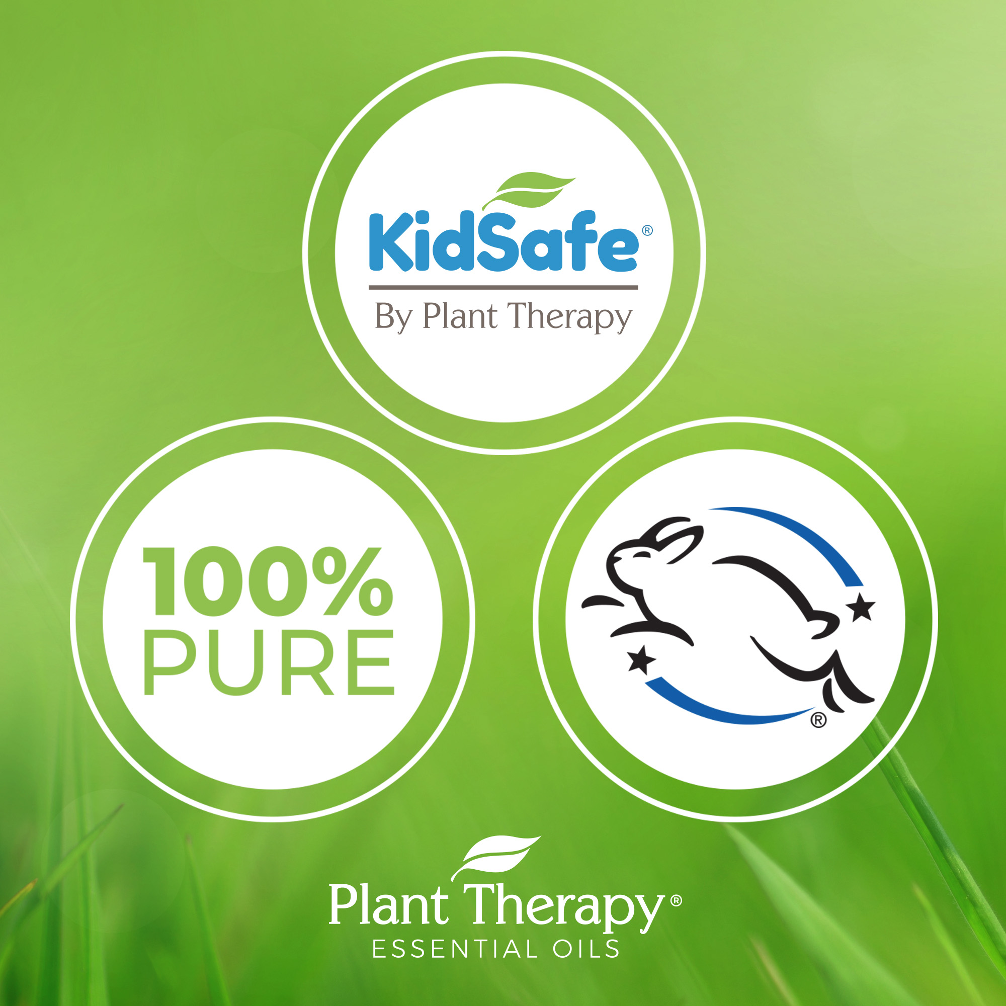 Plant Therapy Essential Oil | Calming the Child Synergy | Relaxing and Soothing Blend | 100% Pure, KidSafe | 100 mL