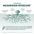 thumbnail image 6 of Host Defense MycoBotanicals Liver Capsules - 60 Capsules (30 Servings), 6 of 11