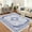 Blue tint, variant on ChaoLink Washable 1150Gsm Heavy Pearl Velvet Printed Area Rug - Persia-Yiyuan, Dark grey, 9*12ft