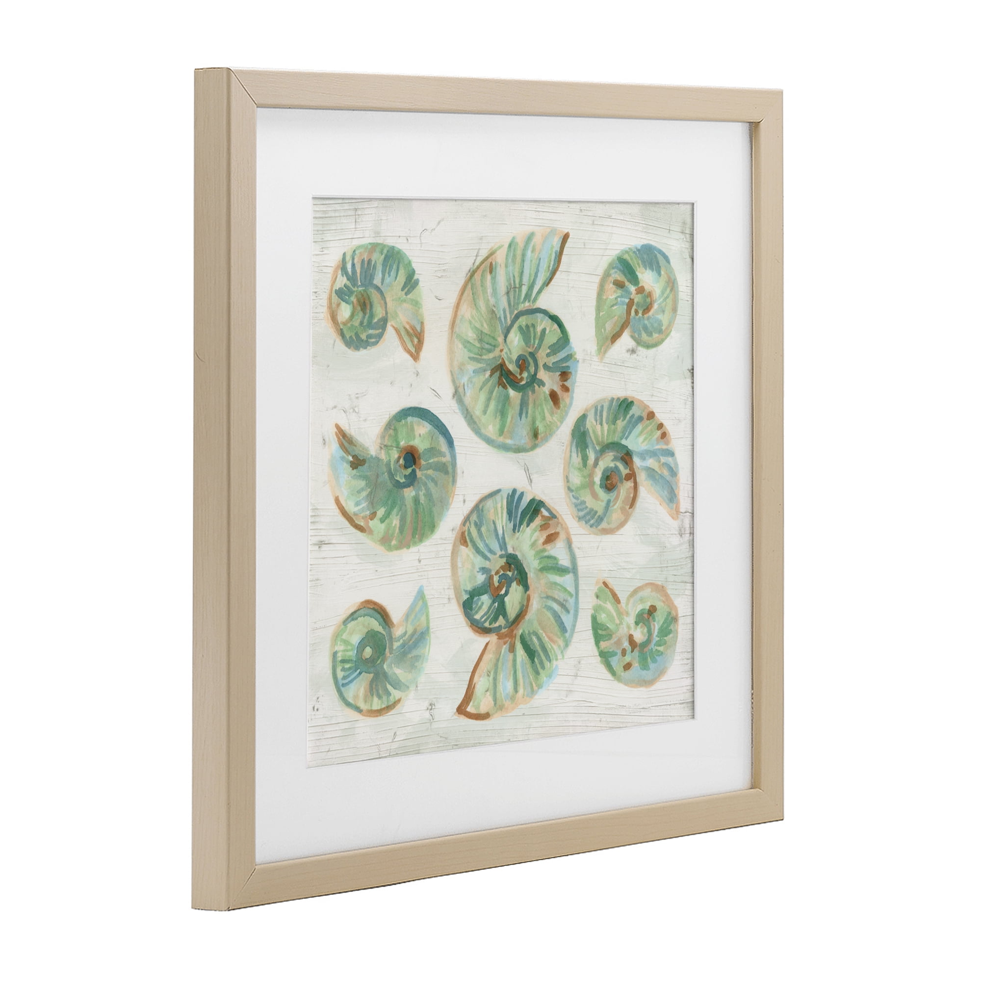 Stupell Industries Organic Saltwashed Shells Birch Framed Print Under Glass, design by June Erica Vess