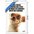thumbnail image 3 of What Do You Meme - Eye Contact Wall Poster, 14.725" x 22.375", Framed, 3 of 3