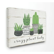 Stupell Industries Crazy Plant Lady Cacti Succulents Wood Textured Design Graphic Art Gallery-Wrapped Canvas Print Wall Art, 24x30, by Jennifer Pugh
