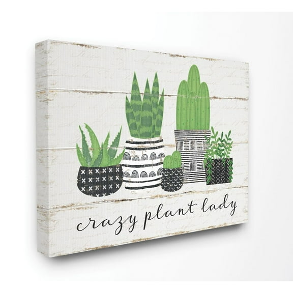 Stupell Industries Crazy Plant Lady Cacti Succulents Wood Textured Design Graphic Art Gallery-Wrapped Canvas Print Wall Art, 24x30, by Jennifer Pugh