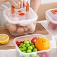 thumbnail image 6 of Toycle Airtight Food Storage Container Leak-Proof Lunch Box Egg Storage Container Food-Grade Plastic Container Fruit Vegetable Storage Box(Z,Plastic), 6 of 9
