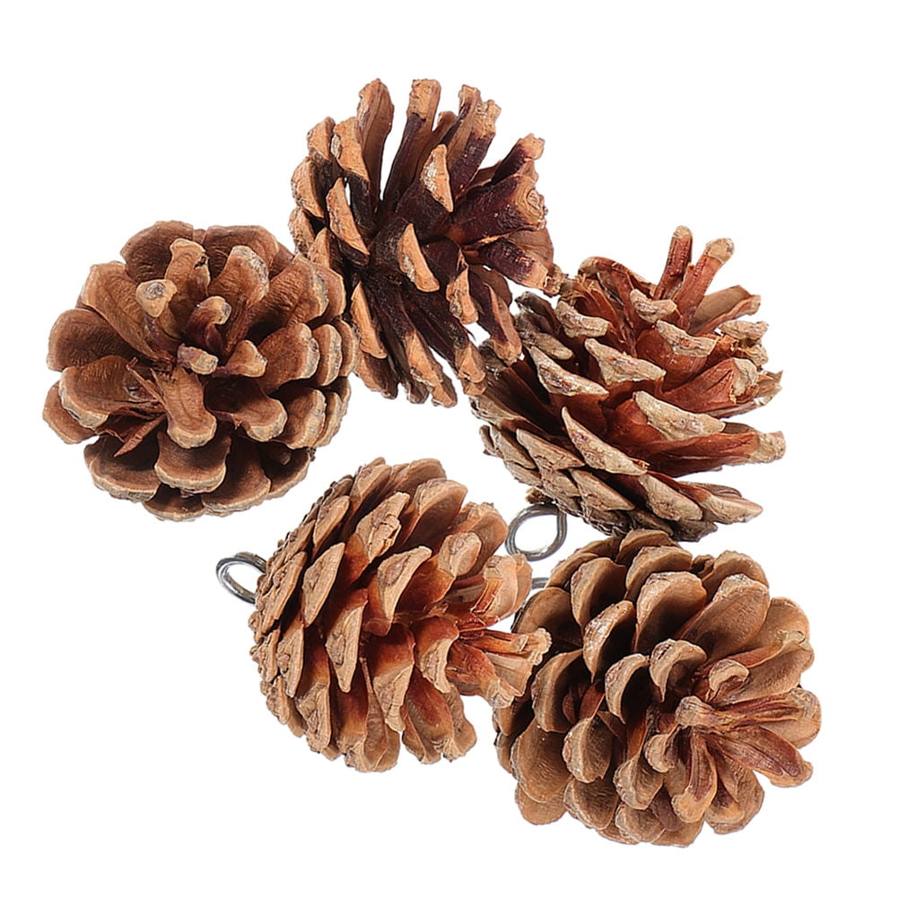 TABLZONE 5-Piece Natural Pine Cone Bird Cage Accessories Chew Toys for Parakeets, , Small Birds, Entertainment