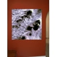 thumbnail image 2 of Buell Karman Wall Decal, 2 of 2