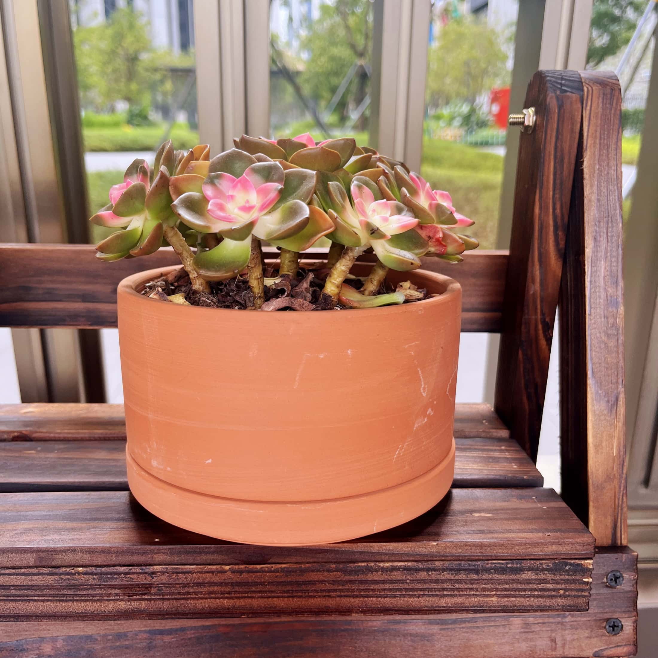 Unbranded Terracotta Flower Pots, 5.9" x 3.5" x 4.7", Round, Red, 3 Count with Drainage Holes