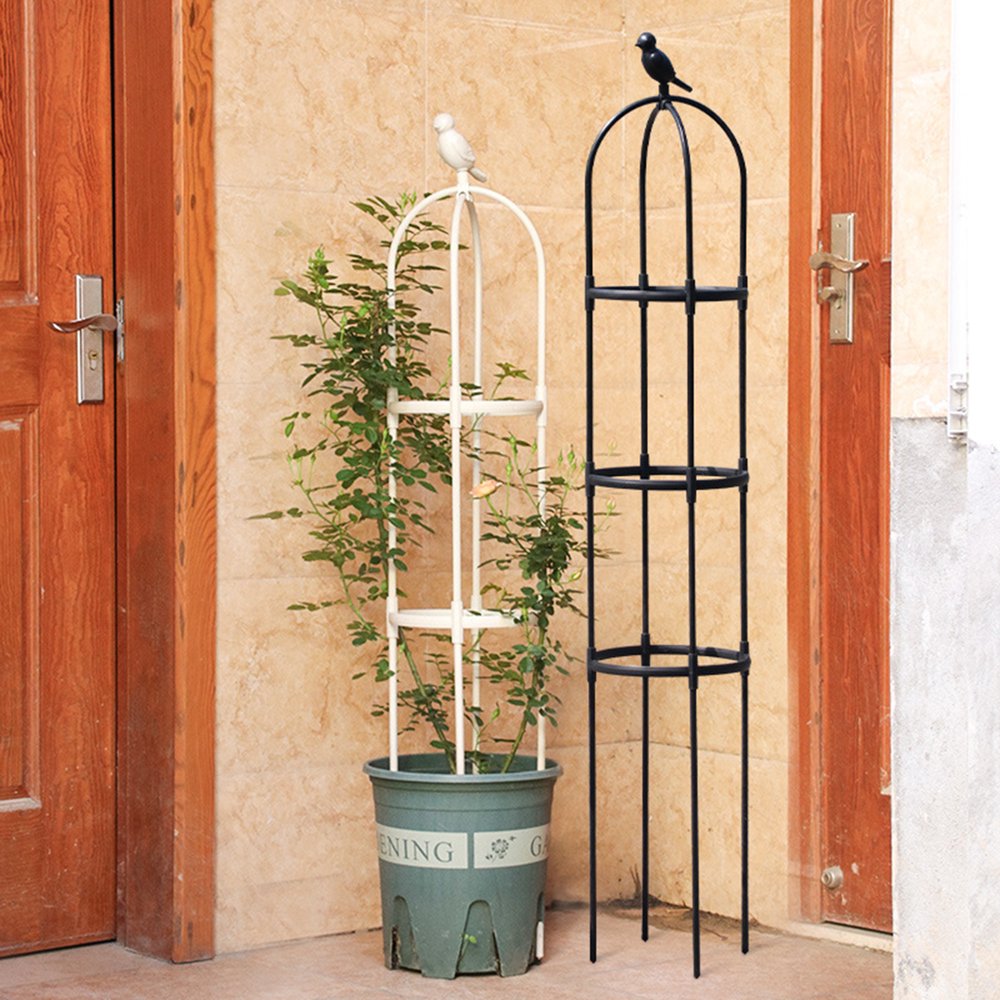 LONCHDAN Lot de 2 treillis de plantes d'intérieur pour plantes gripantes - Treillis d'intérieur