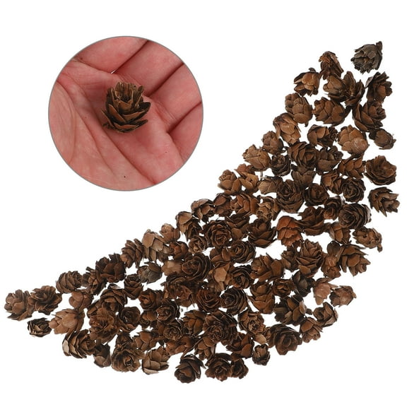 UNOMOR 100 Pcs Pinecone Decor Assorted Color Rustic Decor Store Decoration