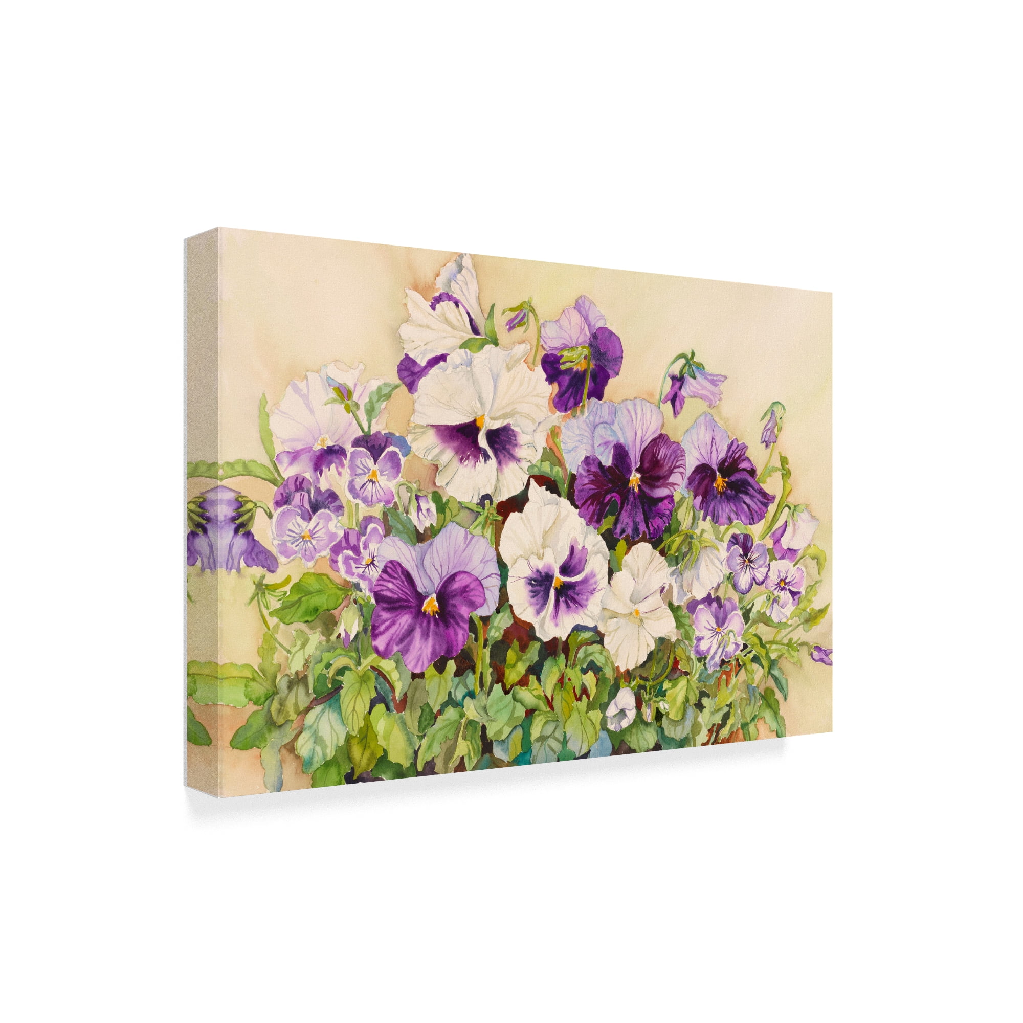 Trademark Fine Art 'Purple Pansies' Canvas Art by Joanne Porter