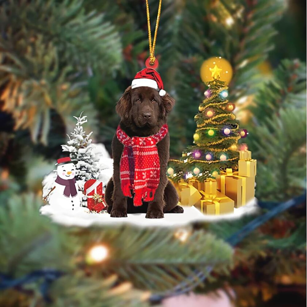 27+ Family Christmas Ornaments With Pets 2021