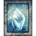 thumbnail image 2 of LightBoxJournal 26x32 Gold Ornate Wood Framed with Double Matting Museum Art Print Titled - Hello Beach Shell II, 2 of 4