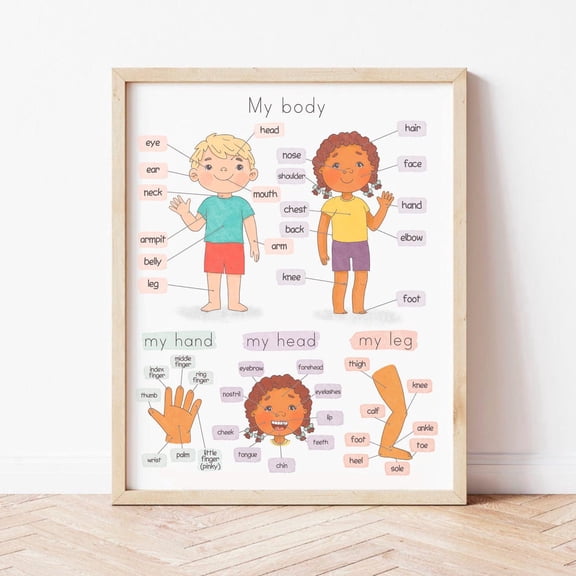 Kna Prints - 1 Pc Poster Human Body Poster For Toddlers Body Parts Educational Poster For Kids Anatomy Poster Montessori Homeschool Learning Preschool Printables, UNFRAMED-8x12