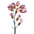 thumbnail image 2 of Koetsier, Albert 15x18 White Modern Wood Framed Museum Art Print Titled - Summer Foxglove, 2 of 4