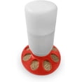 thumbnail image 5 of Little Family Members Baby Chick Feeder 1-Quart Capacity For All Small Poultry, 5 of 7